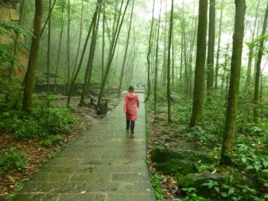 zhjj-hikingintheRain