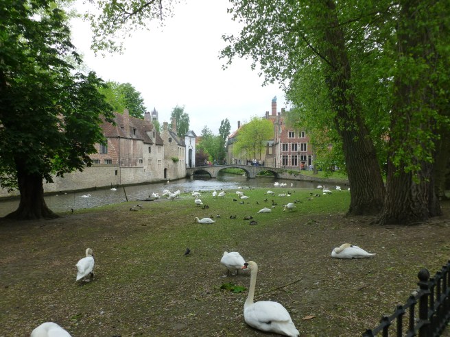 bruges5