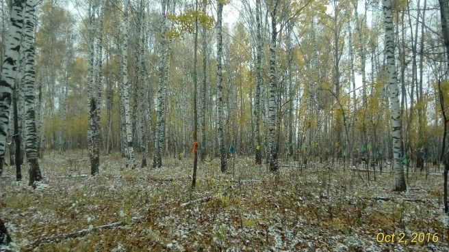 P_20161002_103955_1_p