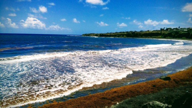 img_20190408_152716-effects